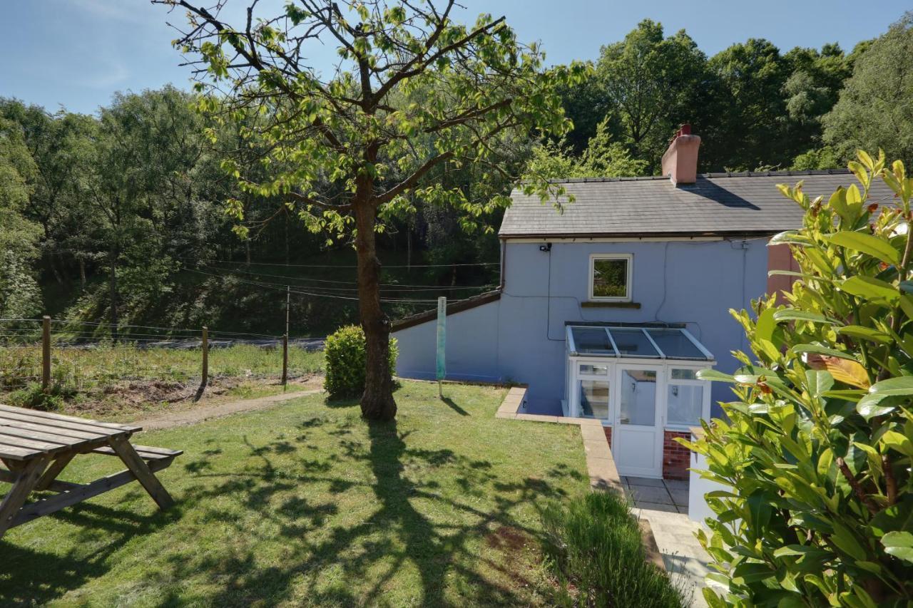 Lilac Cottage Parkend Экстерьер фото