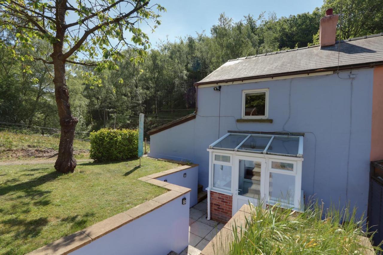 Lilac Cottage Parkend Экстерьер фото